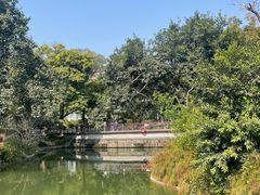 -四海公园(南山区)