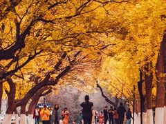 -山东师范大学(千佛山校区)