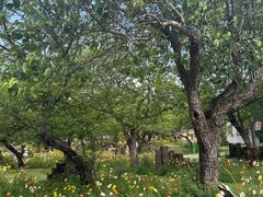 -名花谷生态庄园