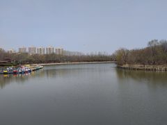 -塘沽森林公园