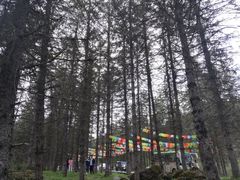 -硗碛藏寨·神木垒景区