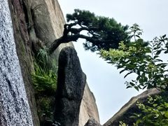 -天柱山风景区
