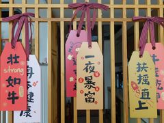 -Catmate·猫肥家润(金润铂宫店)