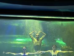-大明湖海底世界