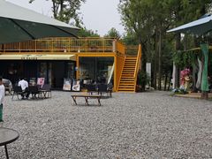 -青龙山国家森林公园