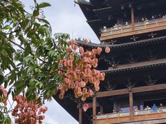 -杭州半山国家森林公园