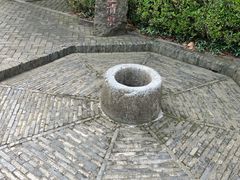 -上海佘山国家森林公园天马山园