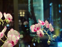 景观位-小南洋海景餐厅(深圳湾店)