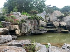 -东莞植物园
