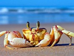 -老虎石海上公园