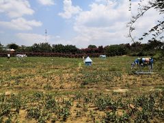 -武汉紫薇都市田园