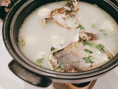 有机珊瑚鲜鱼头-小厨娘淮扬菜(清江苏宁广场店)