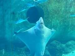 -大连圣亚海洋世界