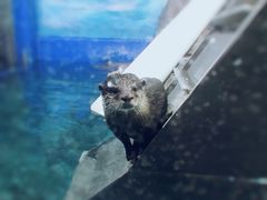 -石林冰雪海洋世界