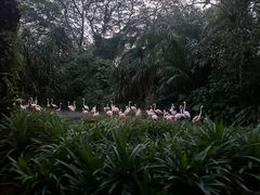 -夜间野生动物园