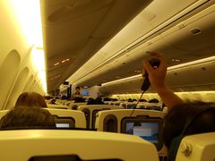 -全日本空输株式会社(上海办事处)