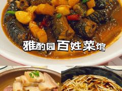 -雅酌园·烟火南京菜(颐和路店)