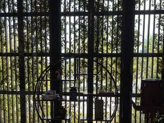 -山水一号·中餐厅