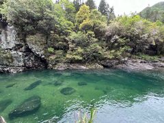 -石台牯牛降景区