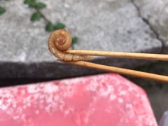 -同济牌坊美贤牛什