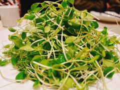 香椿苗拌桃仁-聚友居酒楼