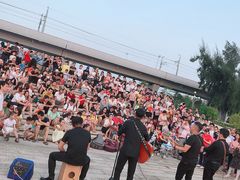 -宝安西湾红树林湿地公园