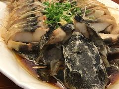 -庞大滦州国际大酒店