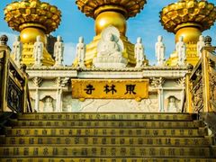 -上海东林寺(金山区)