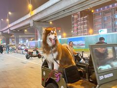 -海底捞火锅(龙湖三千集店)