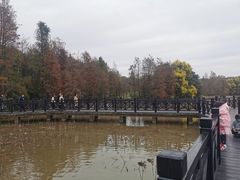-海珠湖公园