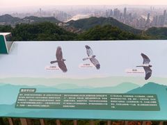 -大金鹰园