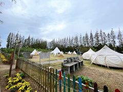 -前小桔亲子创意农场·草莓采摘·露营烧烤