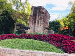 -苏州河梦清园环保主题公园