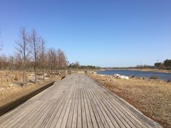 -春花秋色城市公园