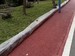 -火炉山森林公园
