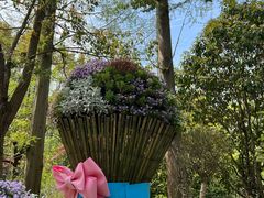 -上海共青森林公园