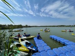 -营地公园·团建拓展·亲子户外(奉贤店)