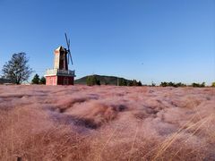 -羊亭河湿地公园