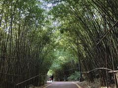 -西安汉城湖景区