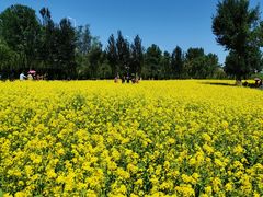 -长白岛森林公园