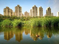 -前关湿地公园