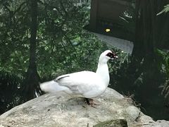 -七仙岭君澜度假酒店·桃源小馆中餐厅