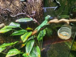 -酷嗒动物文化乐园(cutezoo西溪乐天城店)