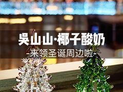 -吴山山·椰子酸奶(天河南店)