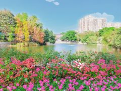 -荔湾湖公园