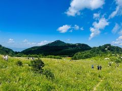 -白草畔自然风景区