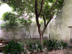 -乌镇东栅景区-茅盾故居