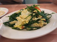 -蘑菇拌面•正宗新疆菜