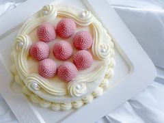 -壹点壹客·生日蛋糕(南山店)