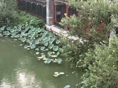-珠海圆明新园